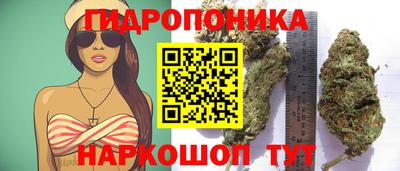 гашишное масло Сланцы