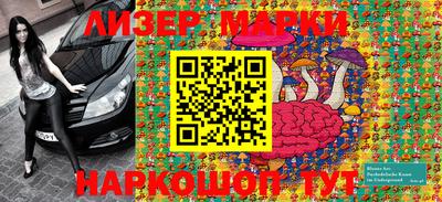apvp Славгород