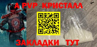 apvp Славгород